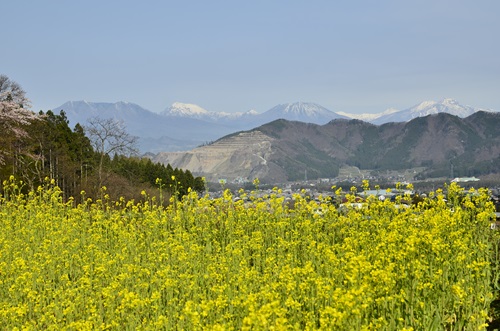 20160416007.jpg