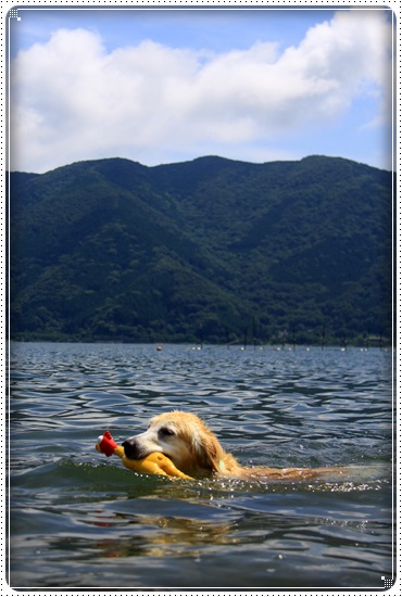 2016,7,11琵琶湖１