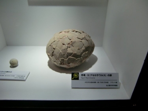 Hypselosaurus's Egg