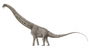 Alamosaurus sanjuanenisis