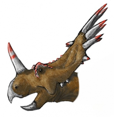 Styracosaurus_5