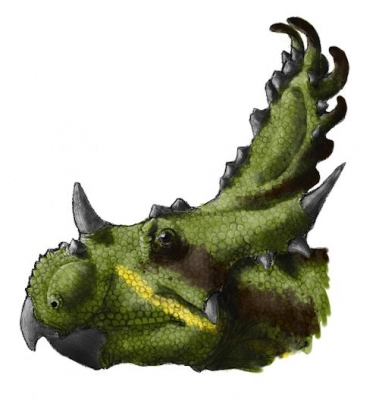 Sinoceratops zhuchengensis_2