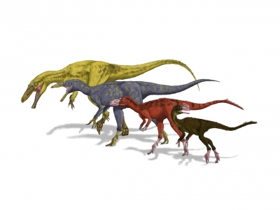 日本のティラノサウルス類_妄想図