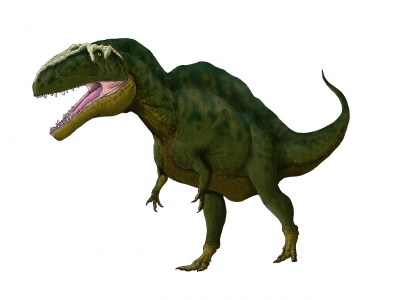 Acrocanthosaurus_4