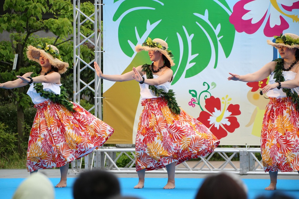 hawaii fes5-6