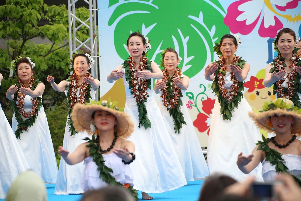 hawaii fes6-4
