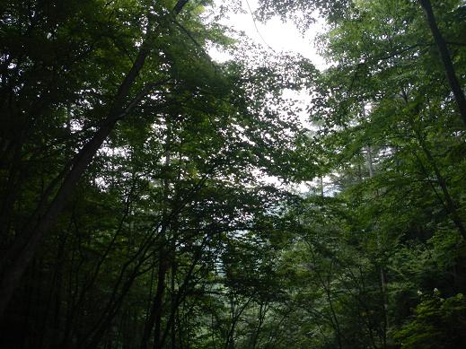 分杭峠