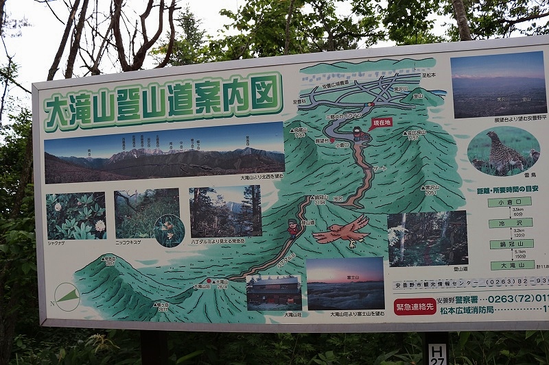 aIMG_1406.jpg