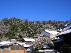 hinoki山
