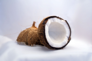Kokosnuss-Coconut_20160730155918a1d.jpg