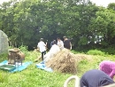 麦刈り (3)