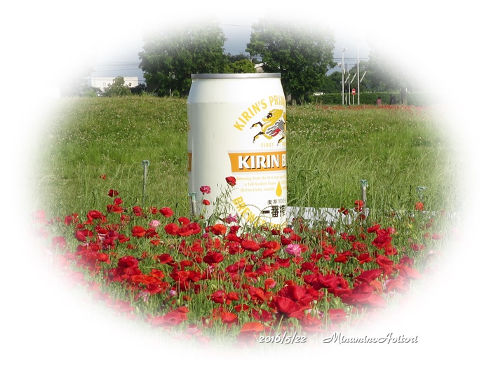 ビール2016-05-22キリンビール・ポピー (198)