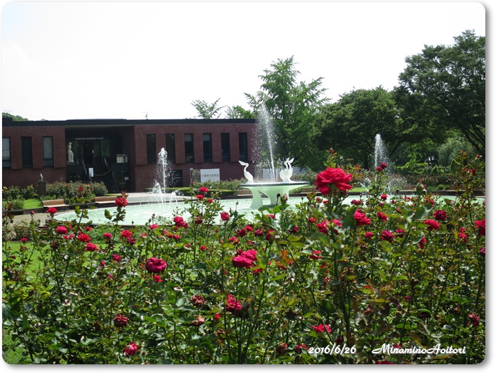赤バラと噴水2016-06-26石橋文化センター (16)