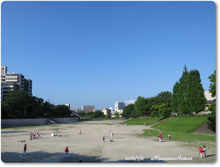 野球2016-07-06野間大池公園 (96)