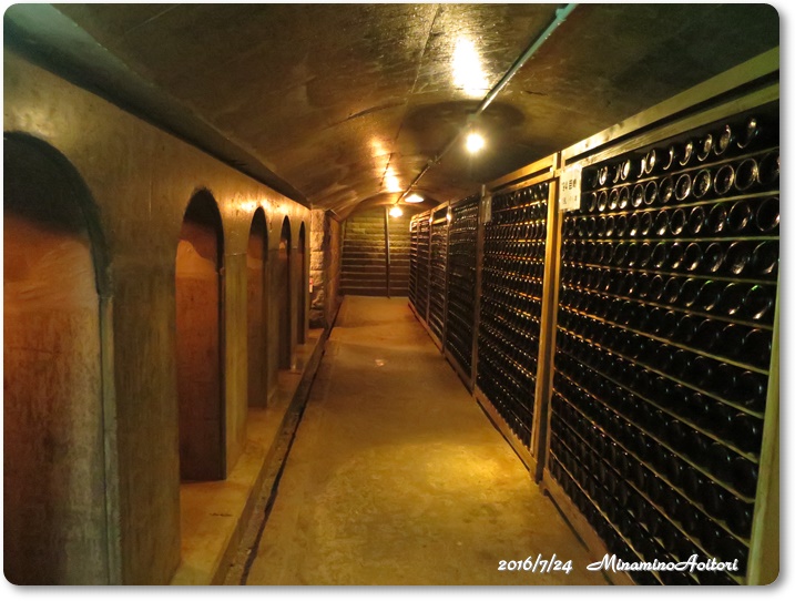 地下貯蔵庫2016-07-24巨峰ワイン (132)