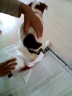 201610110625293c6.jpeg