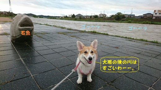 川すごっ