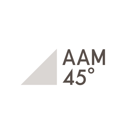 AAM45_rogo_color_square.jpg
