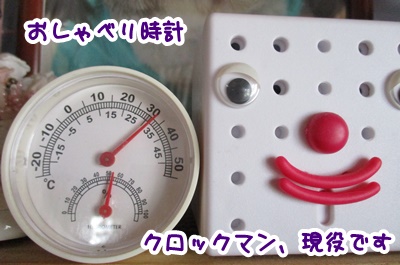 0811-温度計