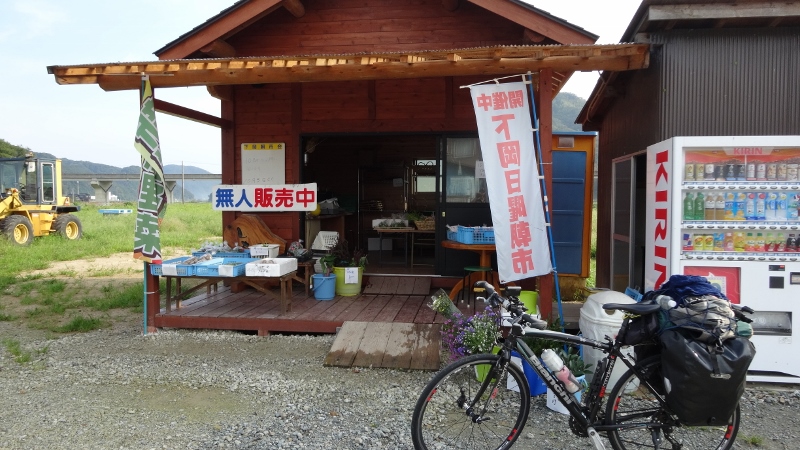 DSC00145 (800x450)