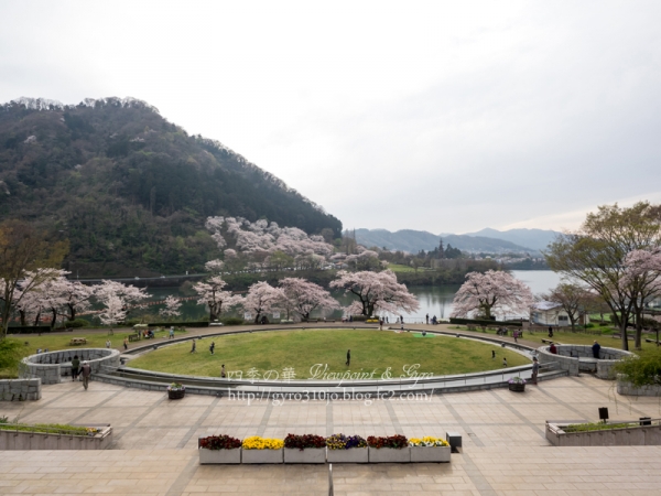 津久井湖の桜　H