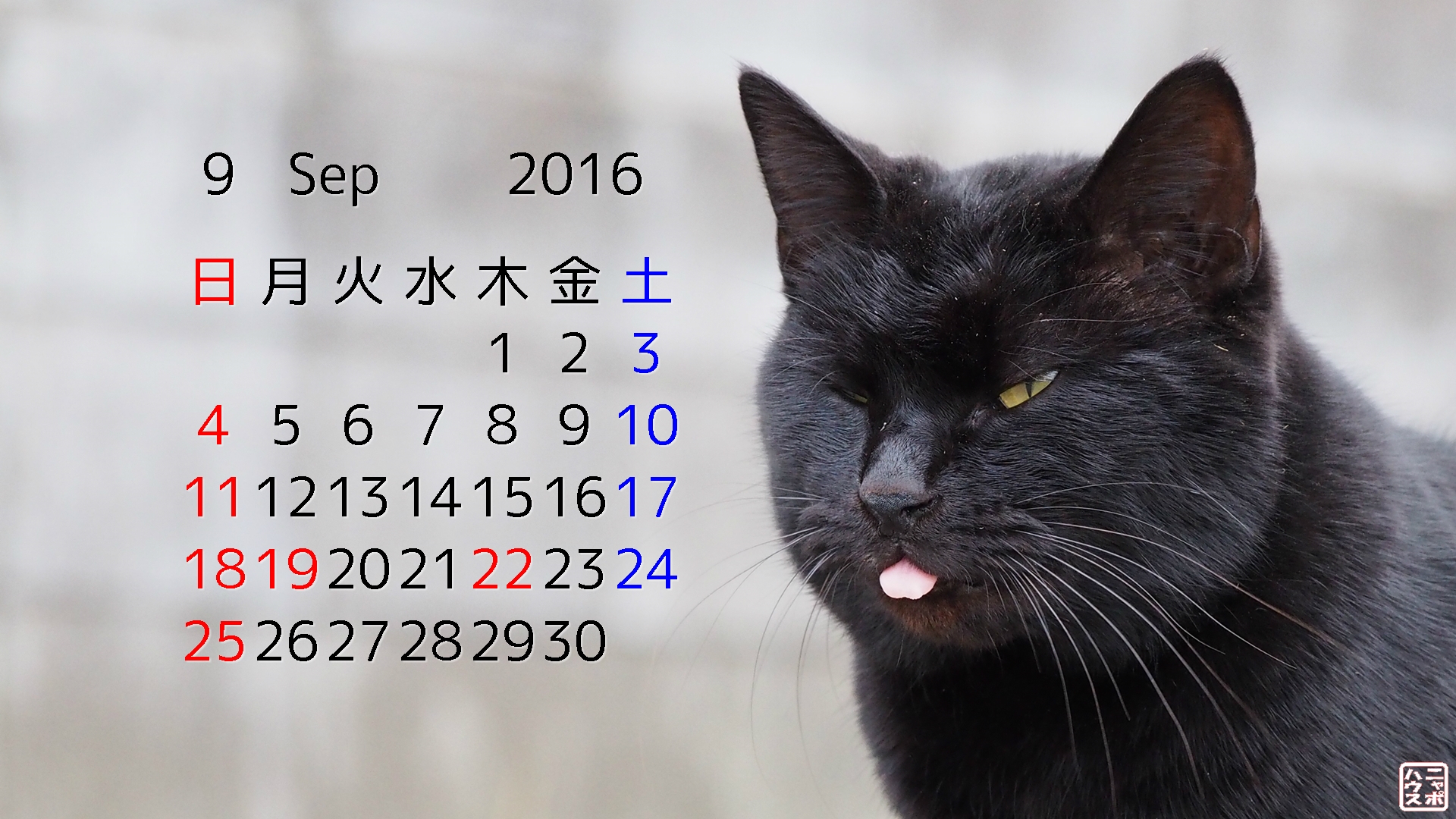 9月の 猫 デスクトップカレンダー ウインク ペロリンコなクロ猫さん ニャポハウス