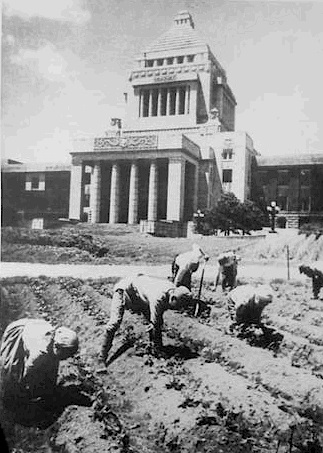戦後の食料難で農場と化した議事堂前広場