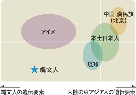 現代日本列島3集団と縄文人の比較