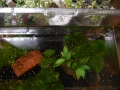 DSCN2549.jpg