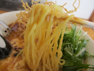 泰紋　赤ｺｶﾞｼﾁｰｽﾞﾗｰﾒﾝ　麺