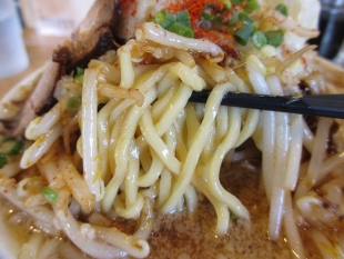 砦　ｶﾞｯﾂﾘﾗｰﾒﾝ　麺