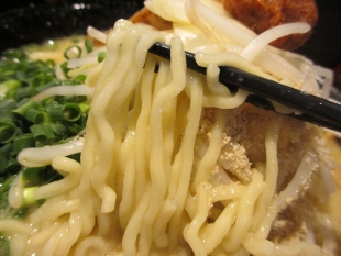 吉風赤道　復活味噌ﾗｰﾒﾝ　麺