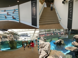 京都水族館6