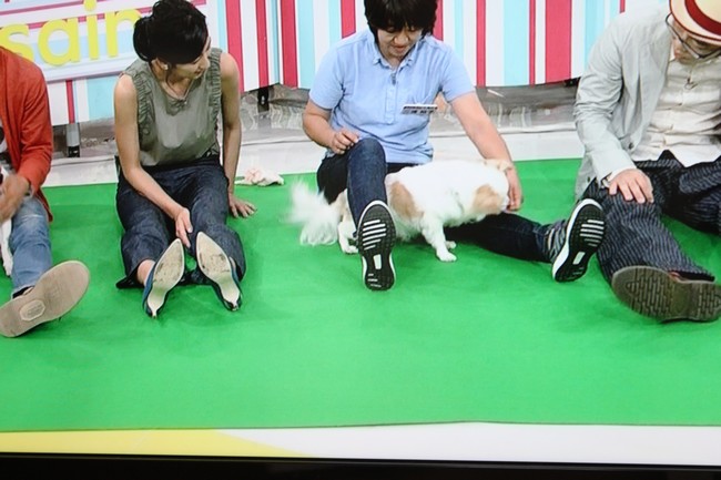 朝イチテレビ 028