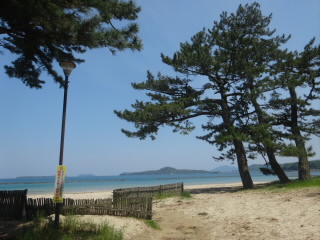 萩・菊が浜